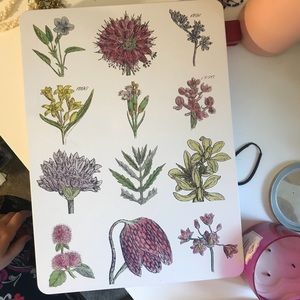 Crabtree & Evelyn London Flora Box for Storage